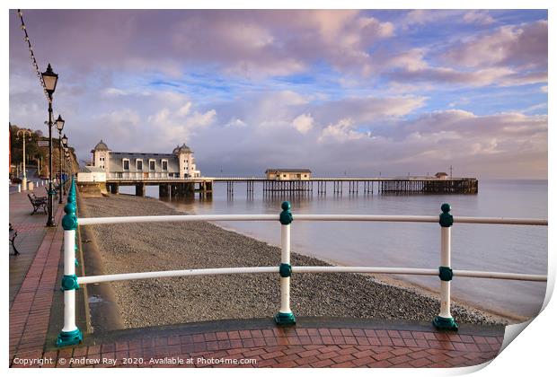 Pier view (Penarth) Print by Andrew Ray