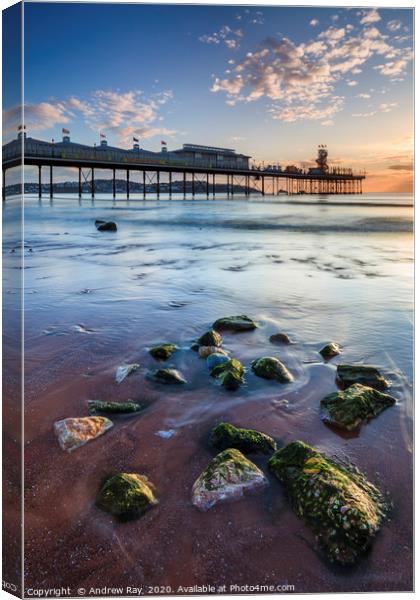 Rocks on Paignton Beach Canvas Print by Andrew Ray