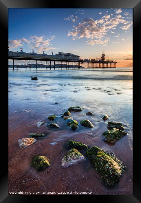 Rocks on Paignton Beach Framed Print by Andrew Ray