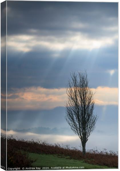 Shafts on light (Sugar Loaf) Canvas Print by Andrew Ray