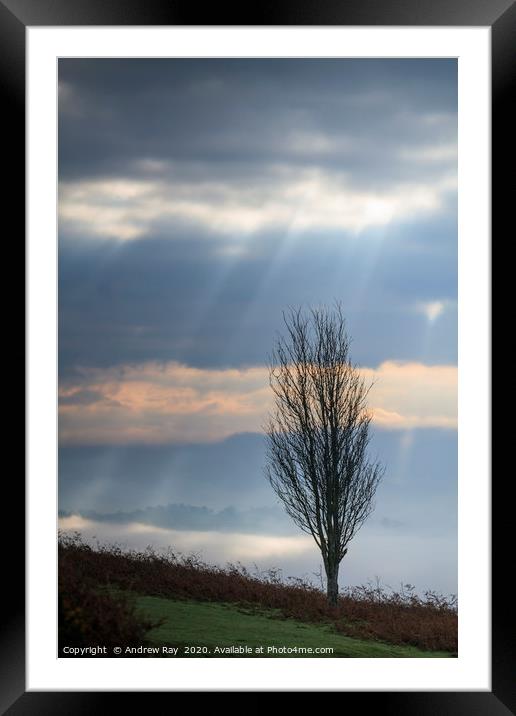 Shafts on light (Sugar Loaf) Framed Mounted Print by Andrew Ray