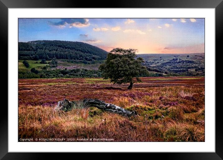 "Painterly North York Moors" Framed Mounted Print by ROS RIDLEY