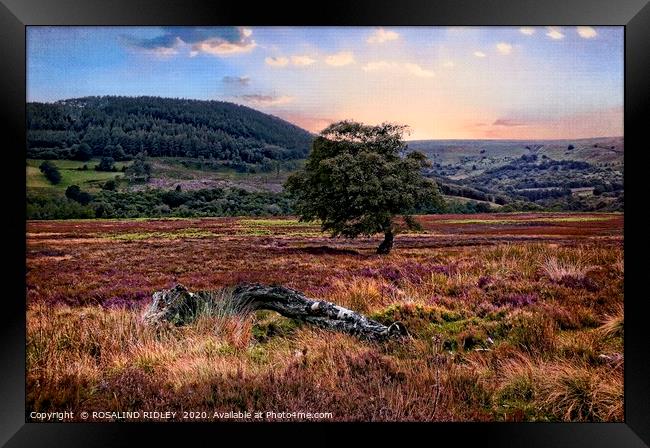 "Painterly North York Moors" Framed Print by ROS RIDLEY