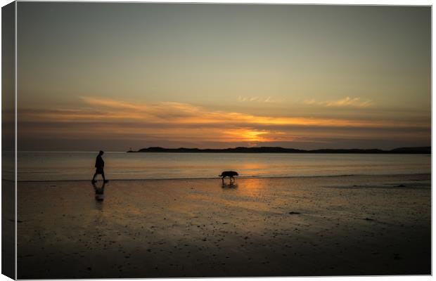 sunset dog walker Canvas Print by Tony Twyman