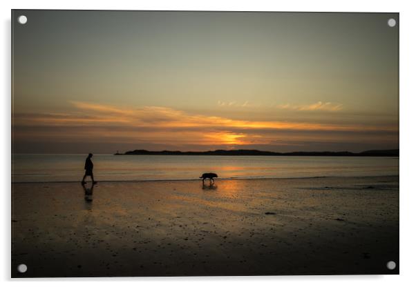 sunset dog walker Acrylic by Tony Twyman