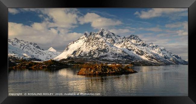 "Evening light in the fjords" Framed Print by ROS RIDLEY