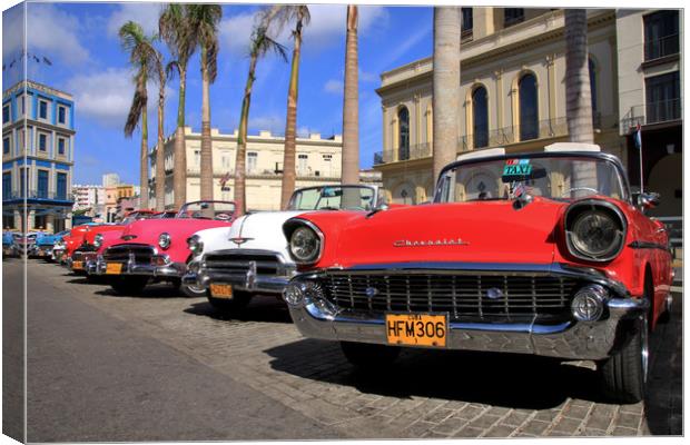 Timeless Beauties in Havana Canvas Print by Simon Marlow