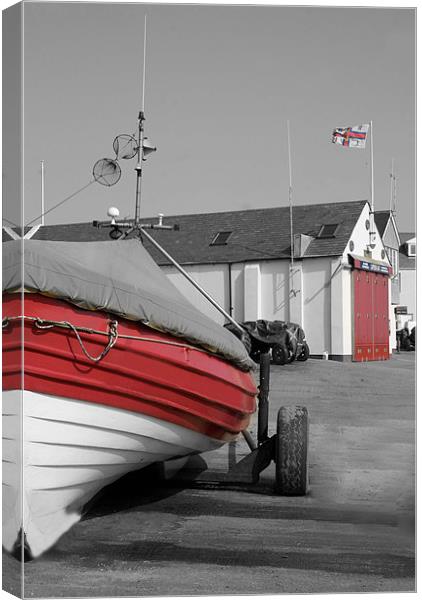 life saver Canvas Print by mick gibbons