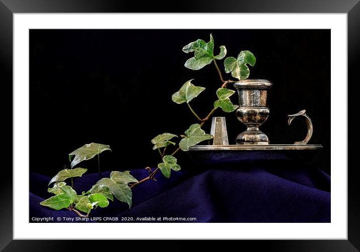 CANDLE HOLDER WITH IVY SPRIG Framed Mounted Print by Tony Sharp LRPS CPAGB