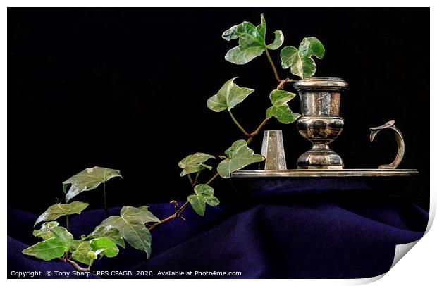 CANDLE HOLDER WITH IVY SPRIG Print by Tony Sharp LRPS CPAGB