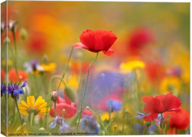 Poppy and meadow flowers Canvas Print by Simon Johnson