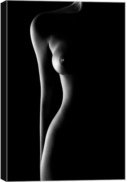 Nude woman bodyscape 62 Canvas Print by Johan Swanepoel