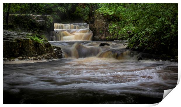 Rushing water at Horseshoe falls Print by Leighton Collins