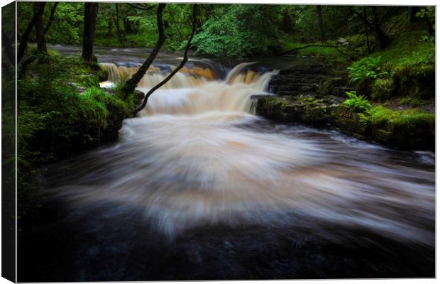 Waterfall Country South Wales Canvas Print by Leighton Collins