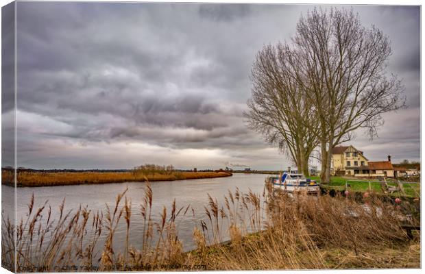 On the bank of the River Yare Canvas Print by Chris Yaxley