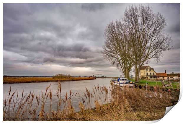 On the bank of the River Yare Print by Chris Yaxley