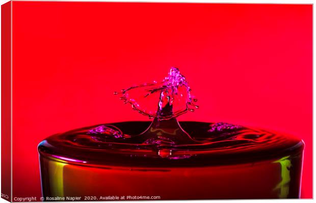 Water drop red background Canvas Print by Rosaline Napier