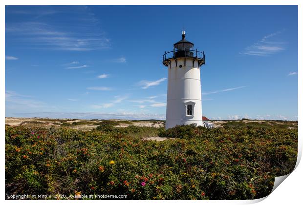 Race Point lighthouse in Provincetown Print by Miro V