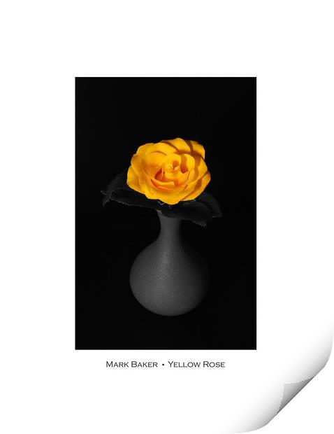 Yellow Rose. Print by mark baker