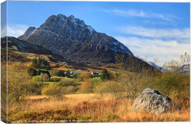 Towards Tryfan Canvas Print by Andrew Ray