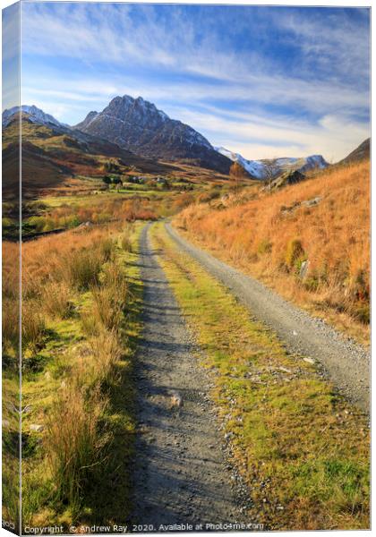 Track towards Tryfan Canvas Print by Andrew Ray