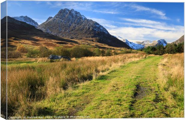 Tryfan view Canvas Print by Andrew Ray