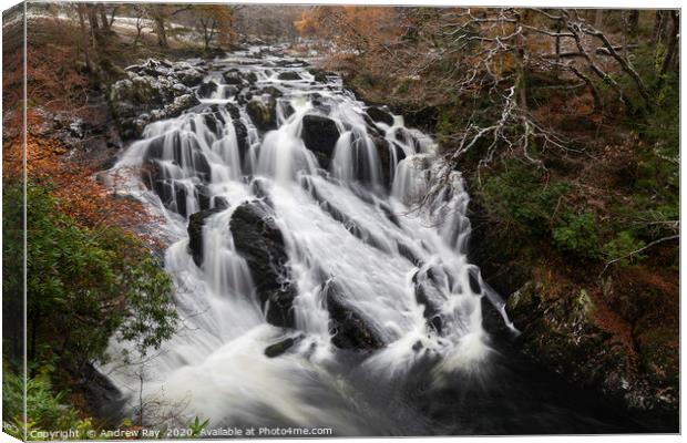 The Afon Llugwy at Swallow Falls Canvas Print by Andrew Ray