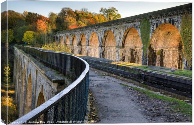 Chirk Aqueduct and Viaduct Canvas Print by Andrew Ray