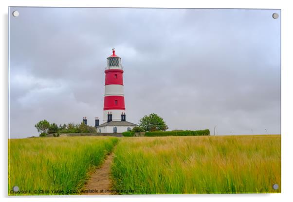 Happisburgh lighthouse, Norfolk Acrylic by Chris Yaxley
