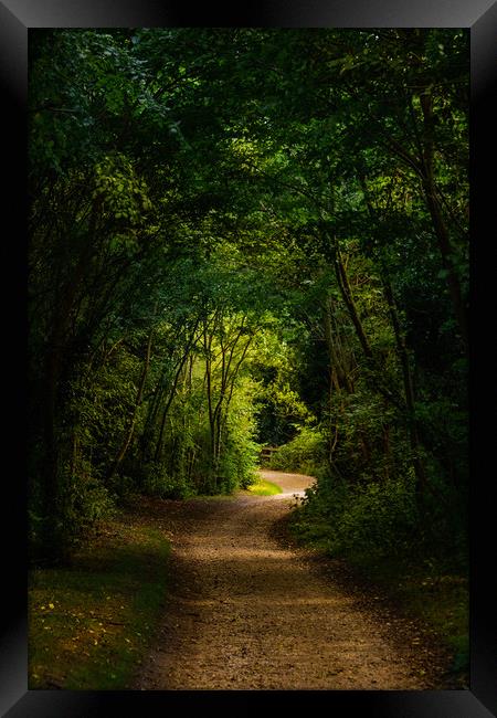 Woodland Path Framed Print by Svetlana Sewell