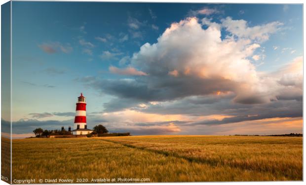 Evening colour over Happisburgh Lighthouse Norfolk Canvas Print by David Powley
