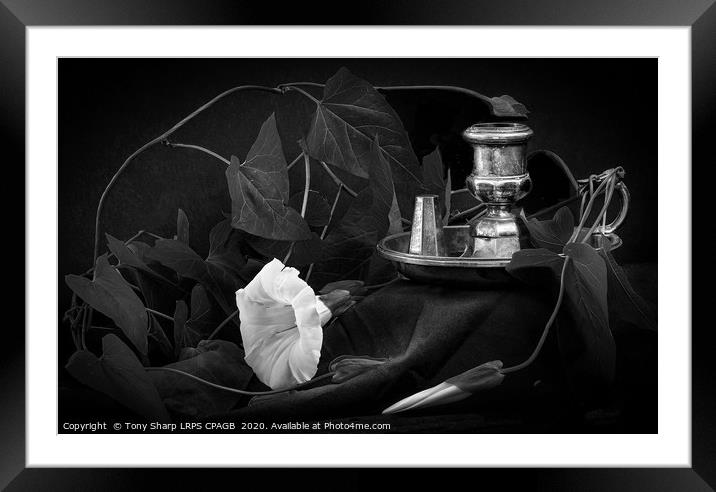 ENTANGLED Framed Mounted Print by Tony Sharp LRPS CPAGB