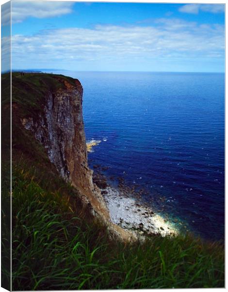 Bempton Cliffs Canvas Print by Steven Watson