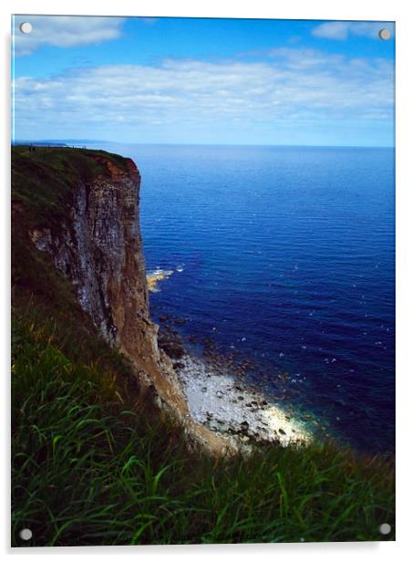Bempton Cliffs Acrylic by Steven Watson