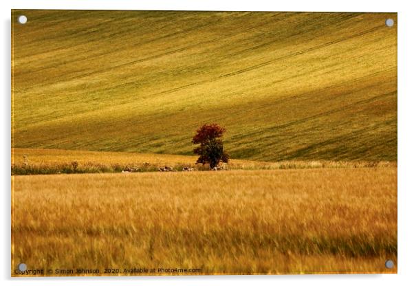 Lonesome tree   Acrylic by Simon Johnson