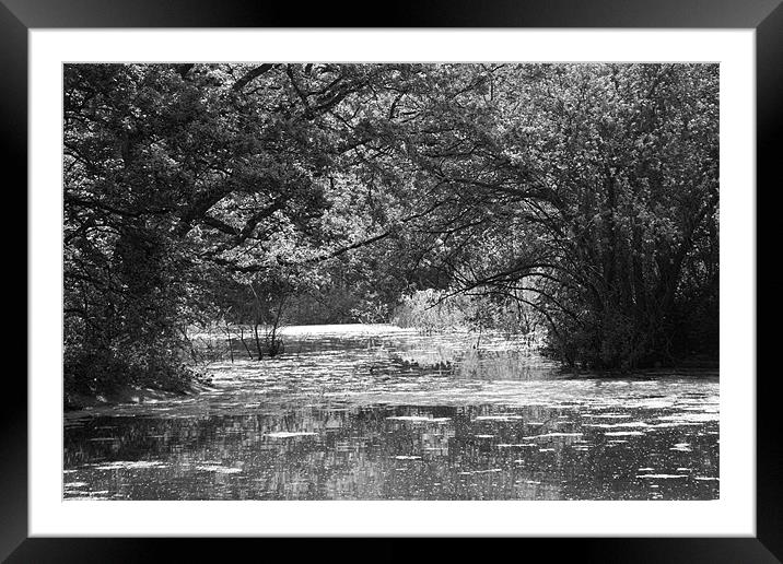 Wanstead Park bw Framed Mounted Print by David French