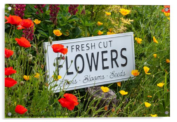 Garden flowers with fresh cut flower sign 0765 Acrylic by Simon Bratt LRPS