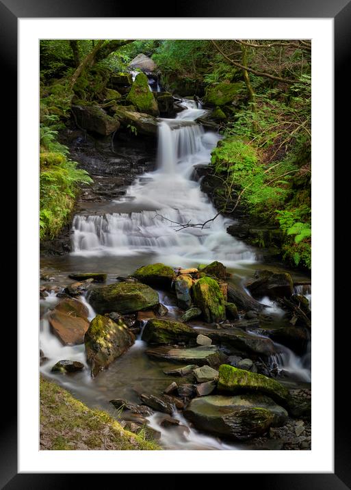 The main waterfall at Melincourt Brook Framed Mounted Print by Leighton Collins