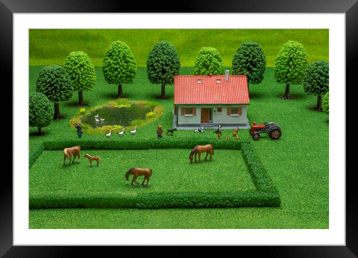 The Horse Paddock Framed Mounted Print by Steve Purnell