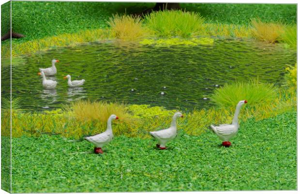 Geese At The Duckpond Canvas Print by Steve Purnell