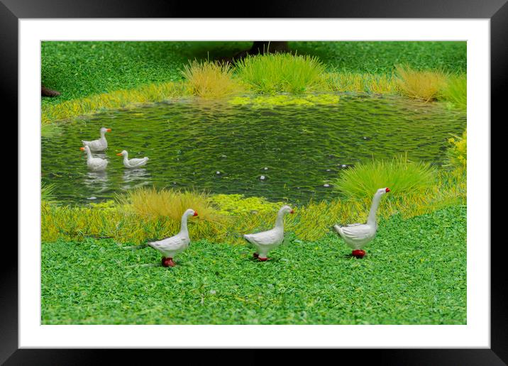 Geese At The Duckpond Framed Mounted Print by Steve Purnell