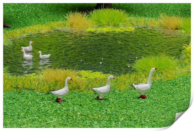 Geese At The Duckpond Print by Steve Purnell