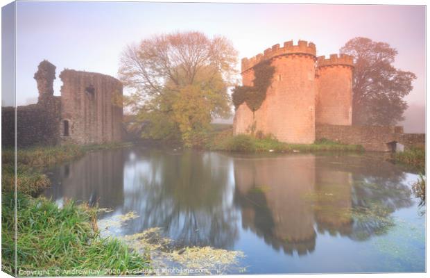Morning at Whittington Castle Canvas Print by Andrew Ray