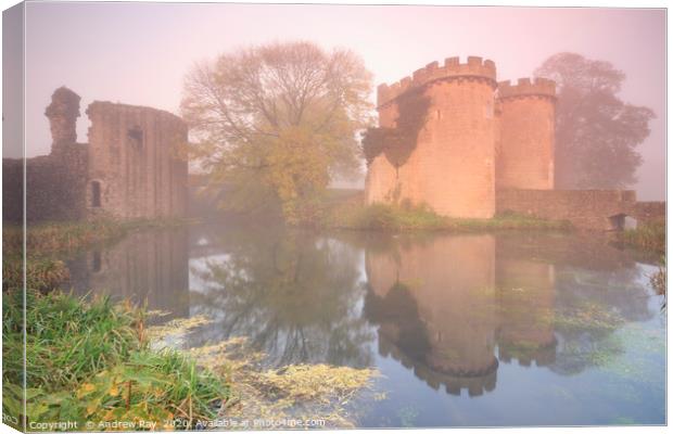 Misty morning at Whittinton Castle Canvas Print by Andrew Ray