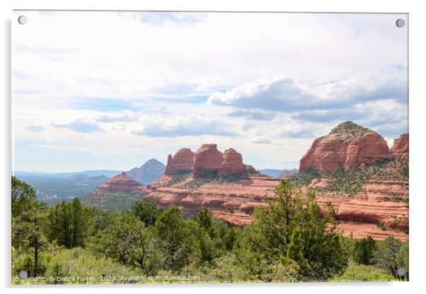 Sedona 2 Acrylic by Debra Farrey