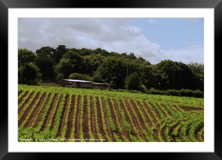 Crop Farming in Tattenhall, Cheshire Framed Mounted Print by Liam Neon