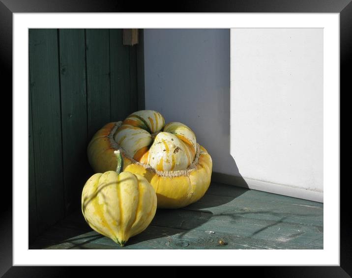 Glorious Gourds Framed Mounted Print by Heather Goodwin
