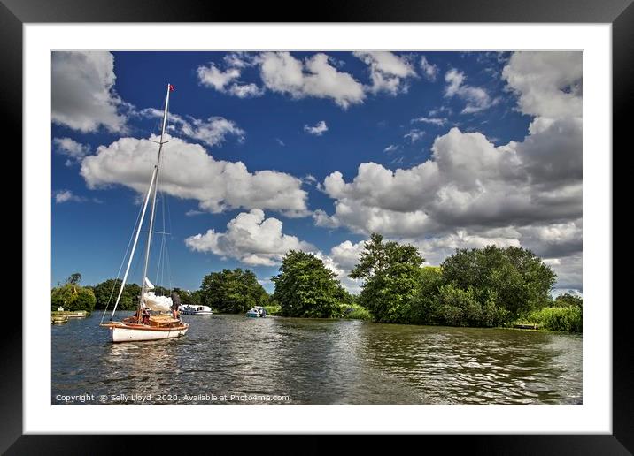 Summer day on the River Bure, Norfolk UK Framed Mounted Print by Sally Lloyd