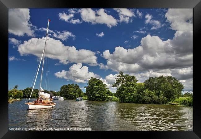 Summer day on the River Bure, Norfolk UK Framed Print by Sally Lloyd