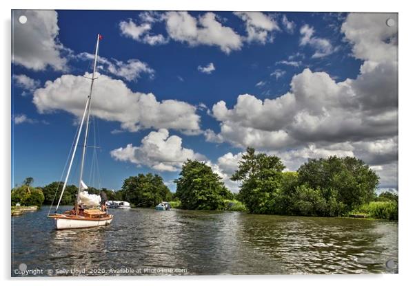 Summer day on the River Bure, Norfolk UK Acrylic by Sally Lloyd